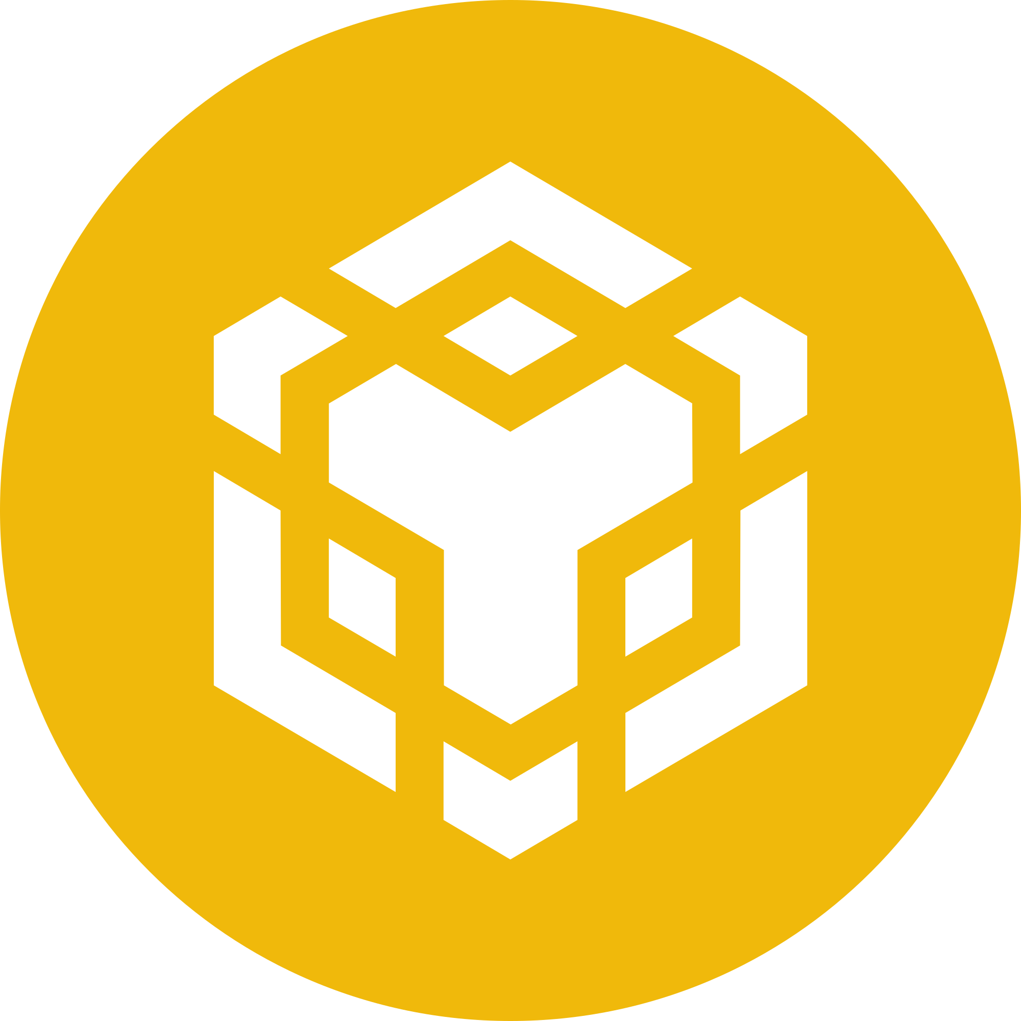 Binance Smart Chain